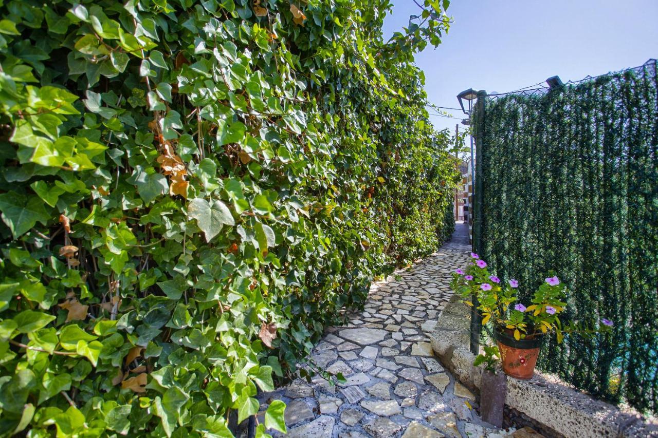 Romantic Hamlet Cottage With Private Pool La Fragua De Eliseo Candelaria Eksteriør bilde
